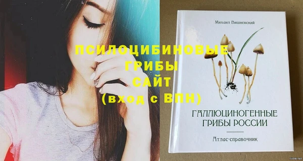 мет Белокуриха