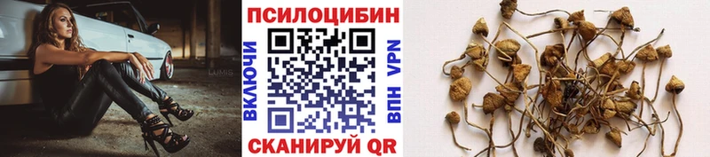 Псилоцибиновые грибы мицелий  hydra маркетплейс  Красный Сулин 